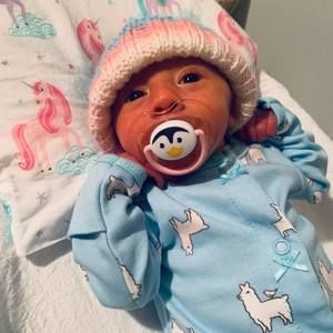 Meet your Posher, Tessa